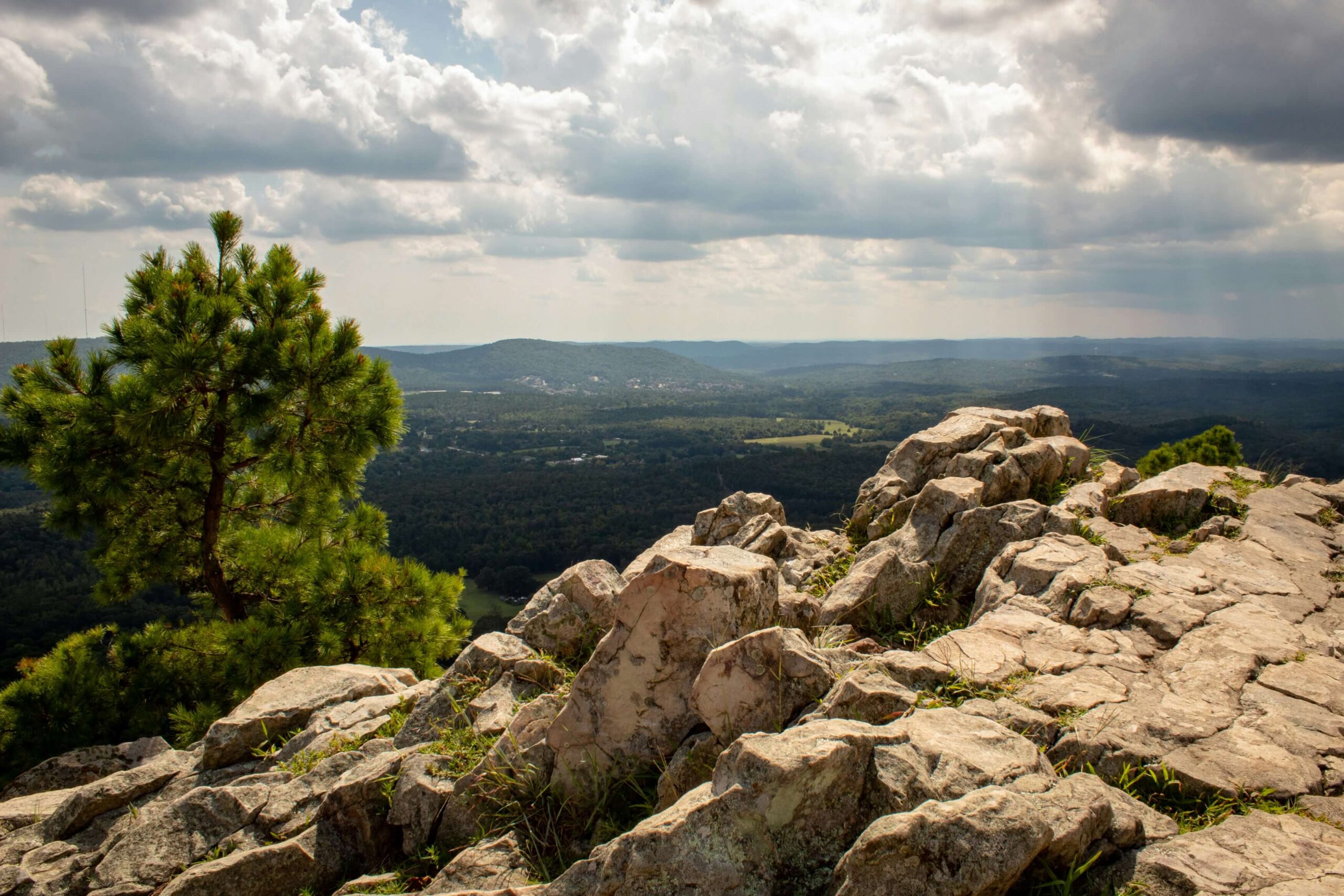 Bella Vista